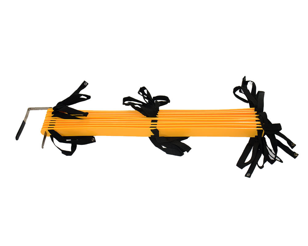 Double Ladder (15' Long)