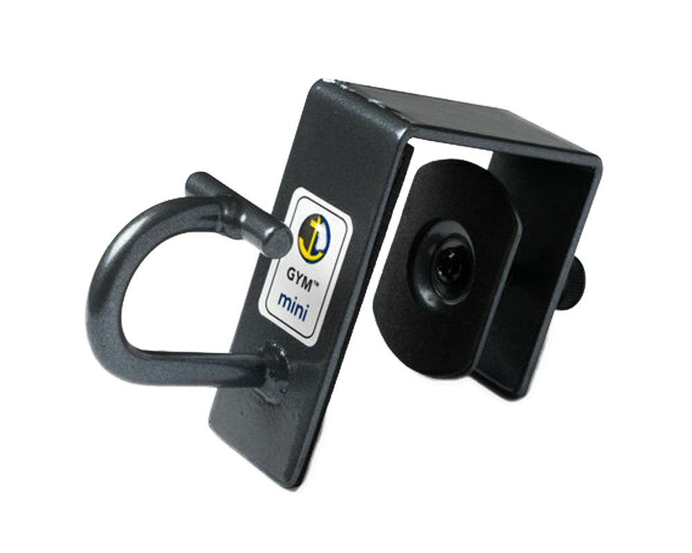 Anchor Gym Door Mount Mini H1