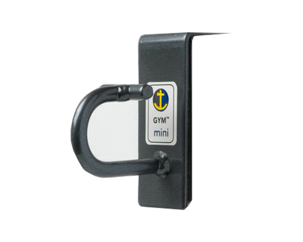 Anchor Gym Door Mount Mini H1