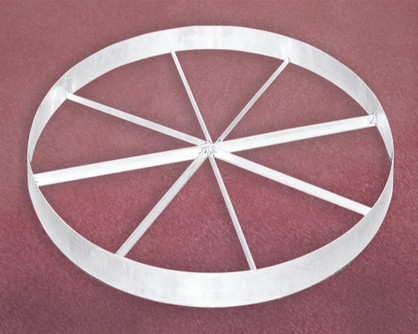 DISCUS　RAMP Amazon.com : Champion Sports Training Discus, 1.6 KG, ABS