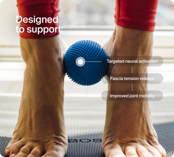 Neurobal Neuro Ball