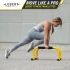 Lebert Parallettes