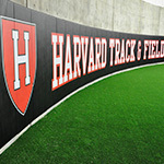Wall Padding