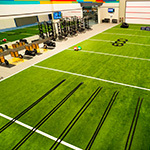 Turf