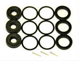 Cat Pump Seal Kit