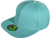 Blank Vintage Snapback Hats mint