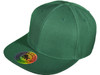 Blank Vintage Snapback Hats kelly green