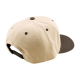 Troy Lee Designs Curved Snapback - Imprint Pumice Black