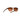 Oakley Latch Sunglasses Adult (Matte Brown Tortoise) Prizm Brown Gradient Lens Back Right 2