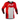 Fly Racing Lite Flake Jersey - Red / Grey / Black