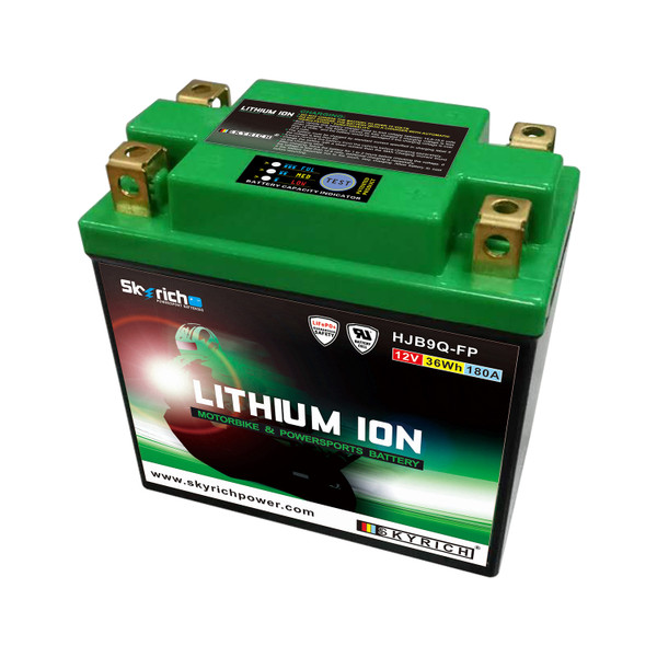 Skyrich Lithium Ion Battery LIB9