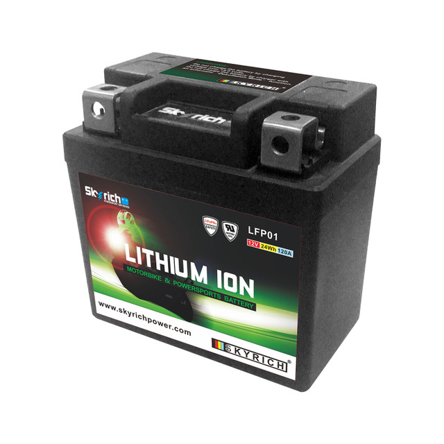 Skyrich Lithium Ion Battery LTKTM04L