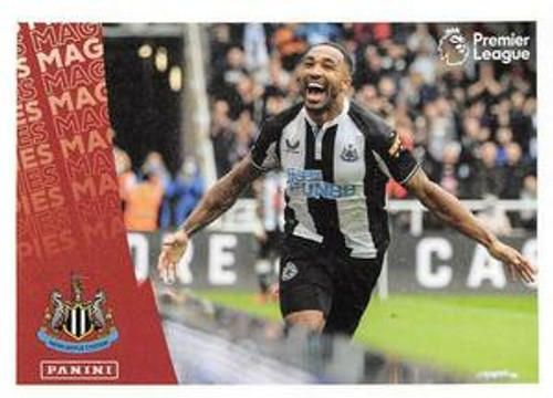 #462 Celebration (Newcastle United) Panini Premier League 2022 Sticker Collection