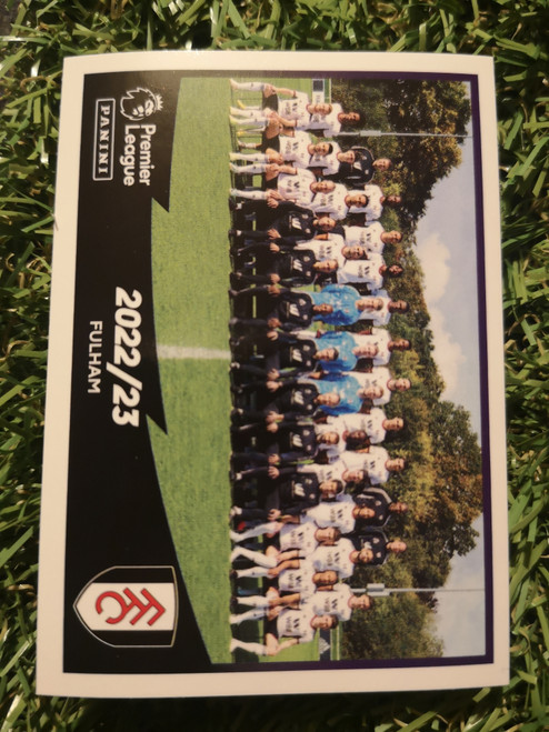 #262 Team Photo (Fulham) Panini Premier League 2023 Sticker Collection