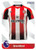 #6 Brentford Panini Premier League 2024 Sticker Collection