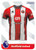 #19 Sheffield United Panini Premier League 2024 Sticker Collection