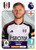 #294 Harrison Reed (Fulham) Panini Premier League 2024 Sticker Collection