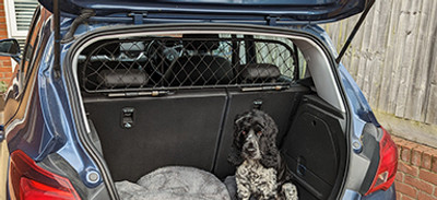 Dog Guards by Make & Model Category Image