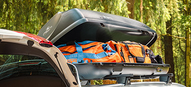 Roof Boxes Category Image
