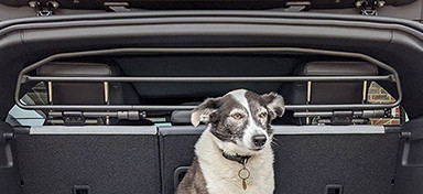 Tubular Dog Guards Category Image