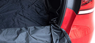 Universal Boot Liners Category Image