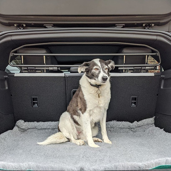 ErgoTech Tubular Dog Guard to fit Mini Aceman (J05) 2024 - 2025