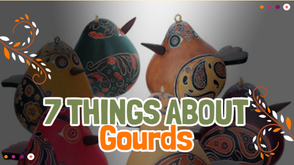 7 Fascinating Things You Didn’t Know About Gourds