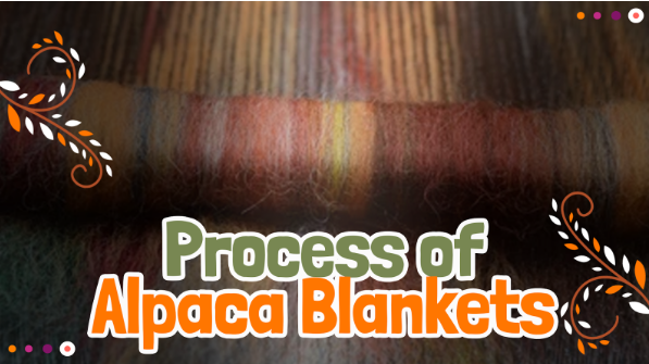 The Process Behind Alpaca Woven Blankets