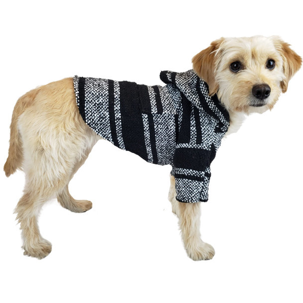 Dog Costume Baja Dog Poncho SIZE 6-mexican Dog Hoodie-mexican