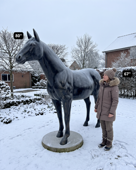 Life-Size Horse Aluminum Sculpture