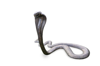 Cobra Snake Bronze Garden Statue Aluminum Art for Serpent Enthusiasts Cobra Snake Bronze Garden Statue Aluminum Art for Serpent Enthusiasts