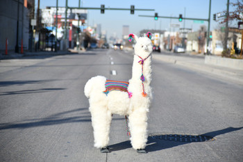 Large 36" Pure Alpaca Long Hair - 100% Fiber Standing Plush Doll Tall White