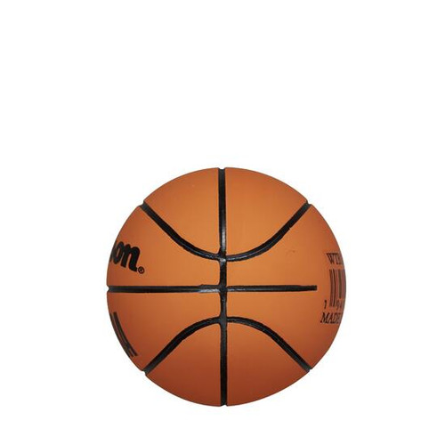 Wilson NBA Toronto Raptors Dribbler Ball