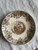 Tefat, Copeland Spode England