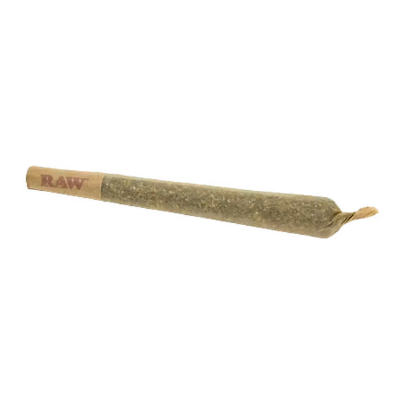 THCa Regular Prerolls