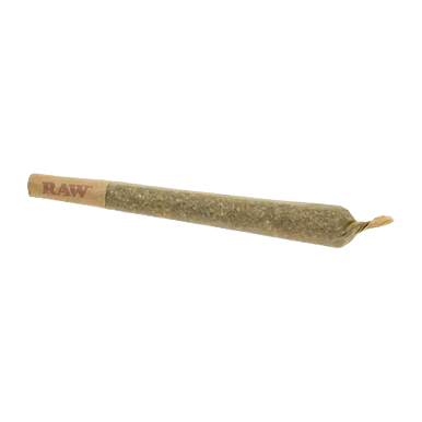 THCa Regular Prerolls