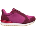 Fuschia/Port