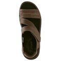 Bison Brown