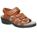 Chestnut