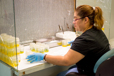 hartmann-lab.jpg