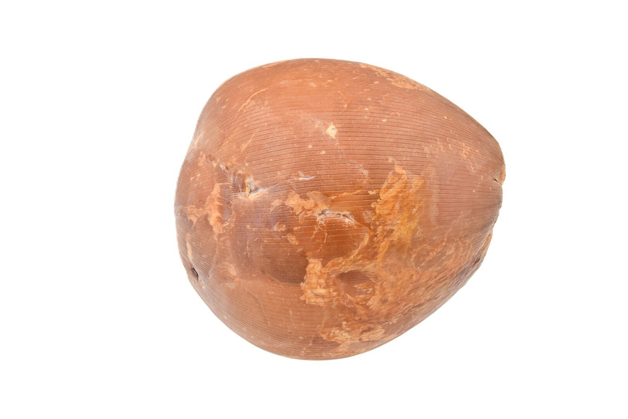 Image Alternate text