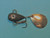 1/2 Oz -Tail Spinner