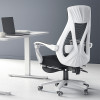 Amias Ergonomic Office Chair  Image 1