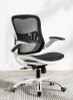 Coraline Mesh Ergonomic Office Chair Image1