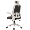 Oliver Ergonomic Chair Plane Figure Oliver Ergonomic Chair Plane Figure