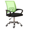 Caius Ergonomic Office Chair Green and Black