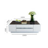 Fortuna Wooden Coffee Table with Drawer Singapore — Main View