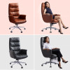 Nova Back Support Chair Color
