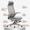 Dimension Marked Diagram Malin Ergonomic Office Chair Singapore | size annotation chart, dimension infographic, product measurement