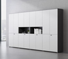 Goldwin Bookshelf Cabinet in office setting — Linear Furnishings Singapore